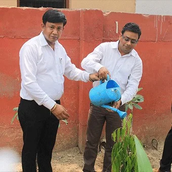 World Environment Day Trees Planting with Tehsil Bar Association